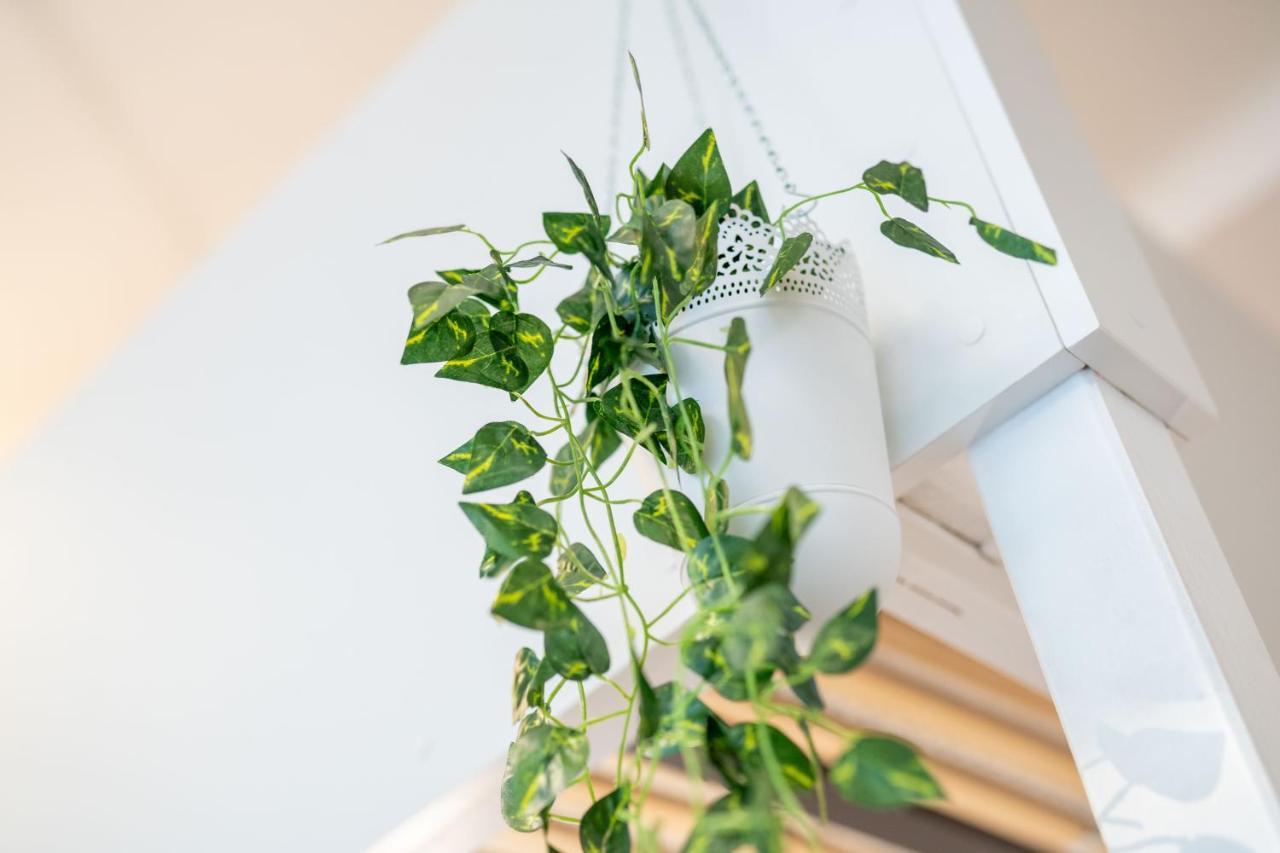 شقة Cozy Modern Nest In The Heart Of Vienna With Netflix المظهر الخارجي الصورة